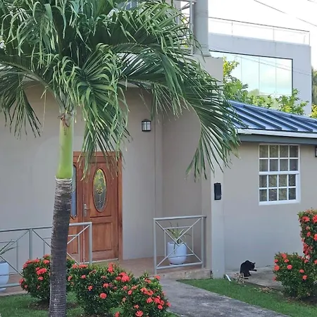 Cozy One Bedroom Apartment Garden Side